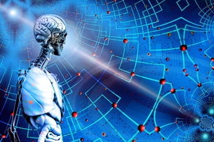 乐鱼体育登录入口-高校运动训练科学管理模式创新，科学的运动训练管理系统应包含哪些方面